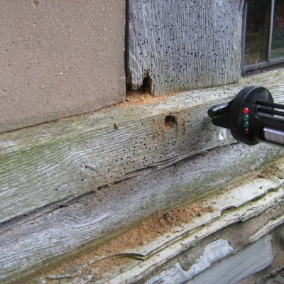 Microdrill to detect concealed decay damage